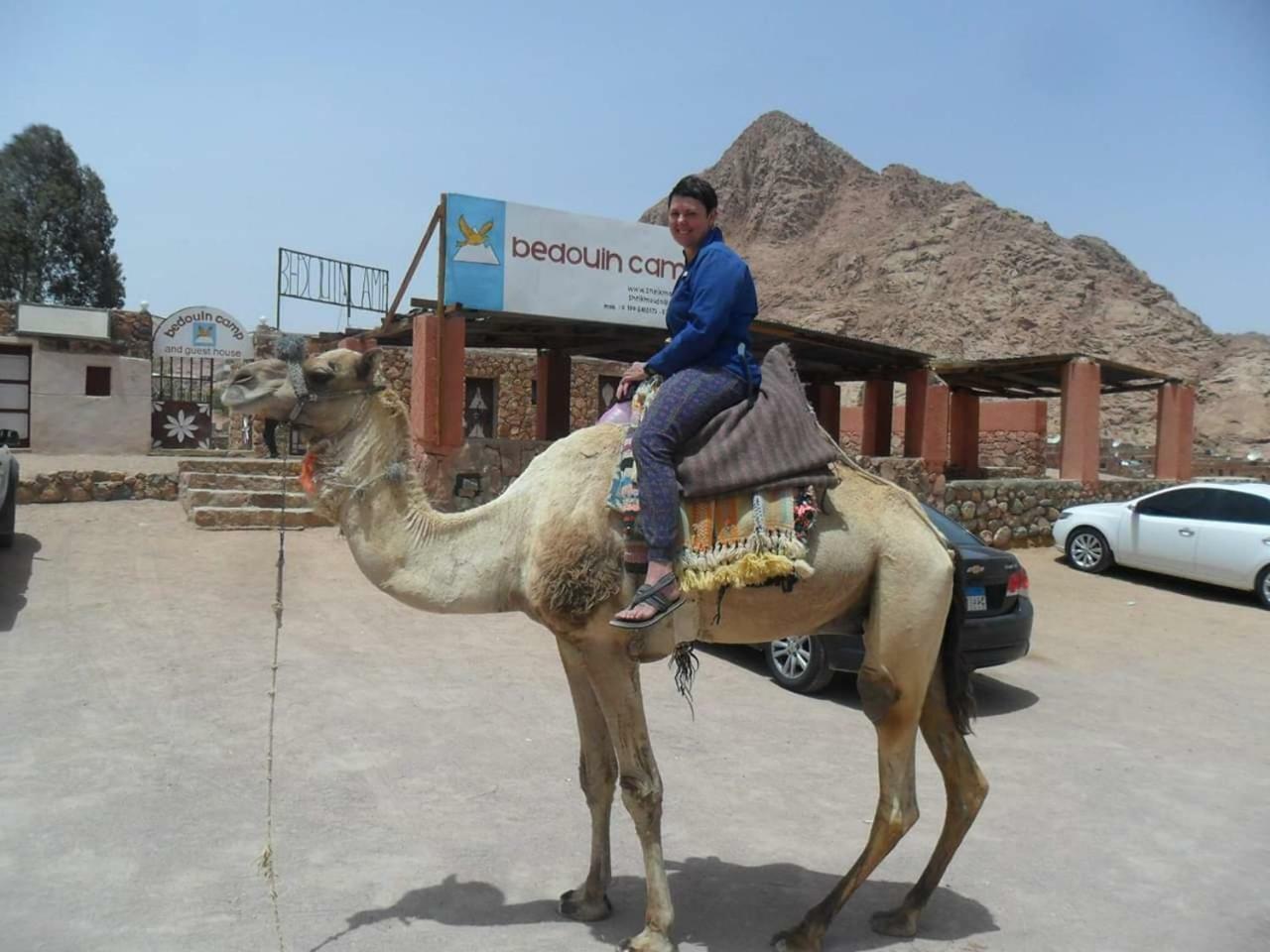 Hotel Sheikh Mousa Bedouin Camp Saint Catherine Exterior foto