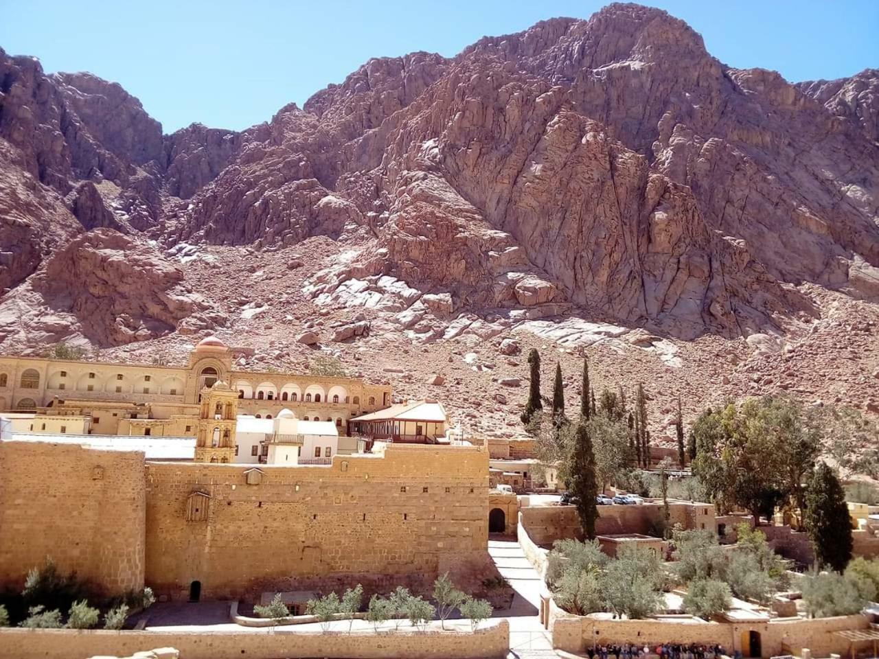 Hotel Sheikh Mousa Bedouin Camp Saint Catherine Exterior foto