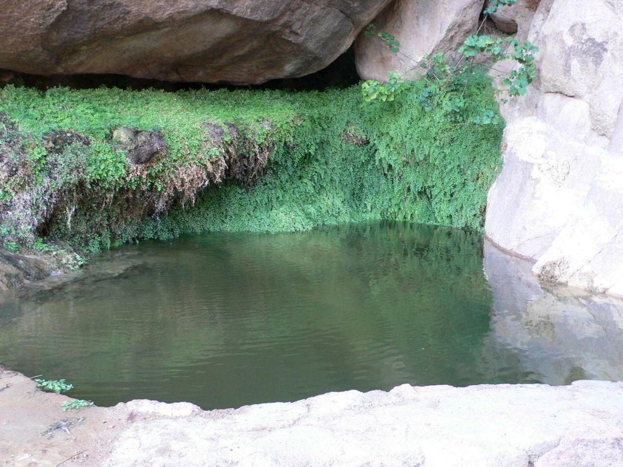 Hotel Sheikh Mousa Bedouin Camp Saint Catherine Exterior foto