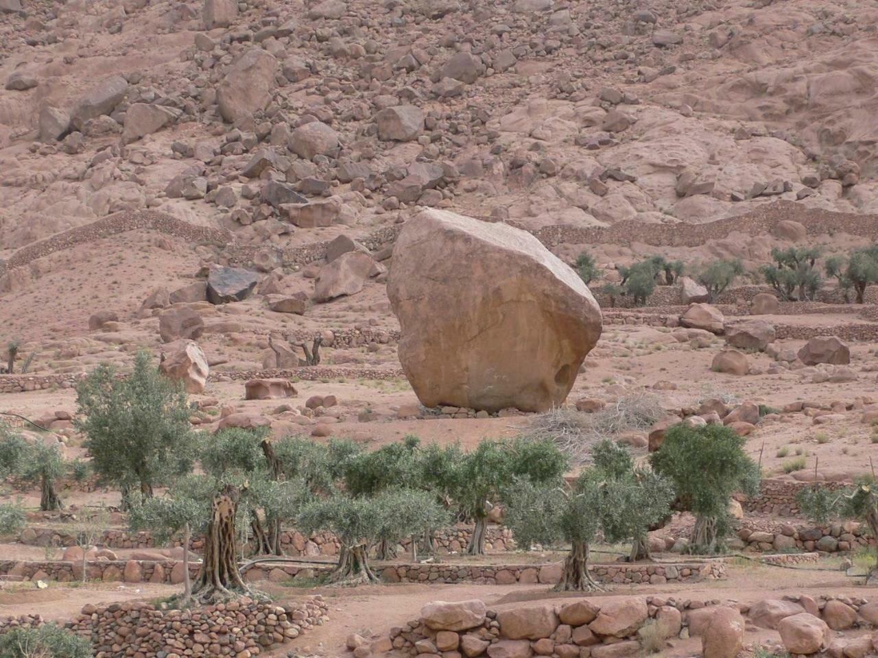 Hotel Sheikh Mousa Bedouin Camp Saint Catherine Exterior foto