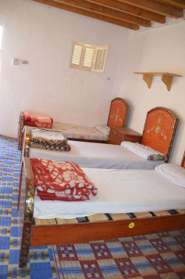 Sheikh Mousa Bedouin Camp Saint Catherine Exterior foto