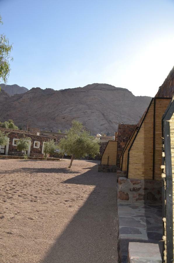 Sheikh Mousa Bedouin Camp Saint Catherine Exterior foto